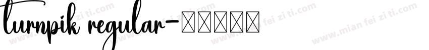 turnpik regular字体转换